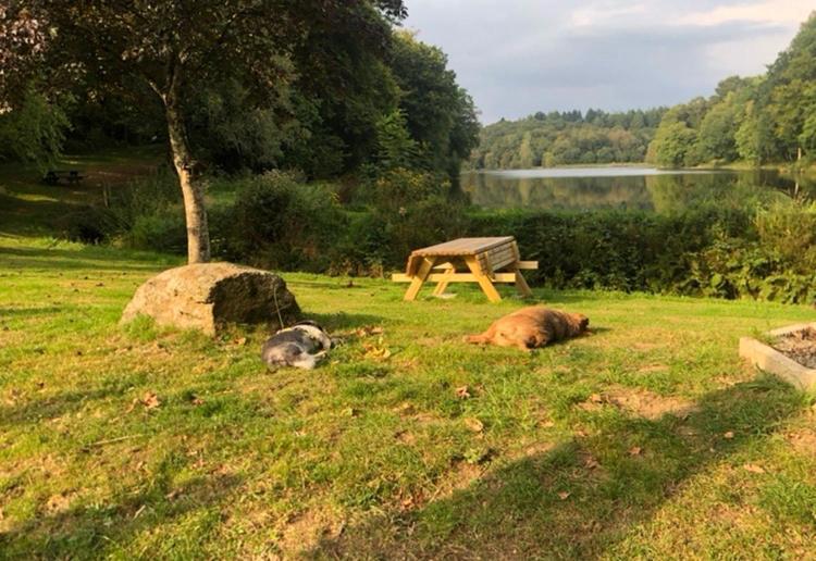 La Forge B&B Perret  エクステリア 写真